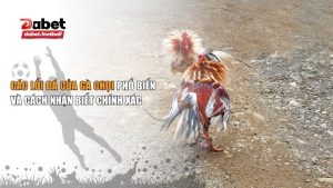các lối đá của gà chọi