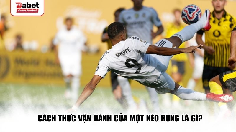 Một kèo rung hoạt động như thế nào? 