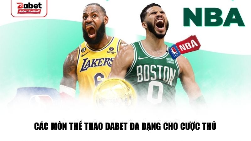 Các môn thể thao Dabet đa dạng cho cược thủ