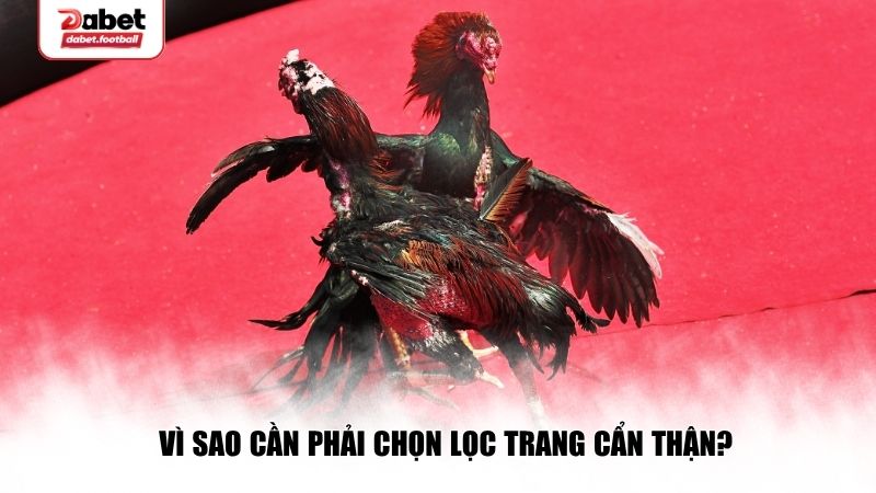 Luôn phải chọn lọc trang cẩn thận