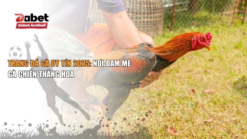 trang đá gà uy tín